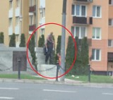 Wszedł na pomnik Kaczyńskiego w Kraśniku, teraz szuka go policja. "Incydent, który psuje wizerunek miasta"