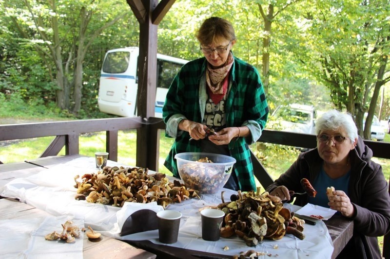 VIII Bliżyńskie Grzybobranie - zebrali 22 kilogramy grzybów, w tym 406 prawdziwków (ZDJĘCIA)