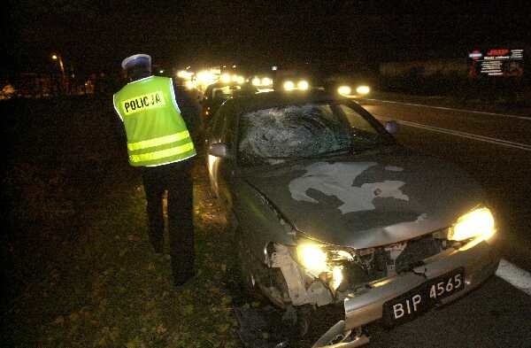 Policjanci dokonują oględzin samochodu, który potrącił pieszego na obwodnicy