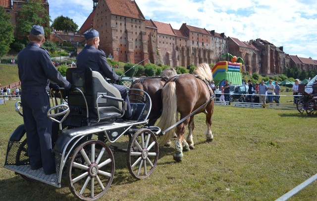 Konie królować będą znów nad Wisłą w Grudziądzu 18 czerwca 2017 r