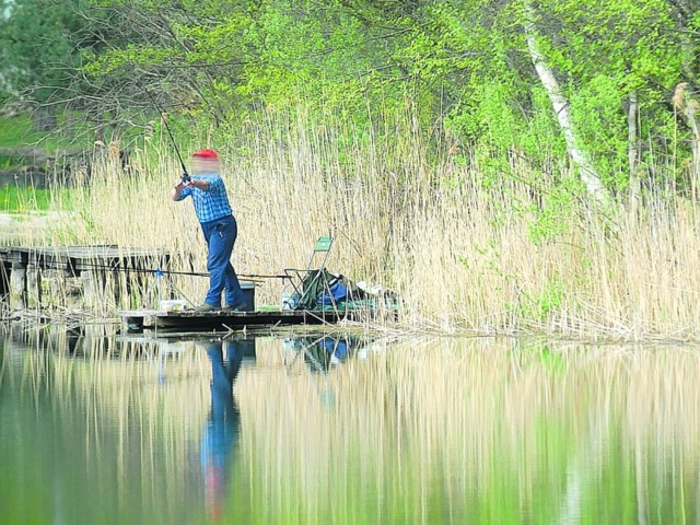 Wędkarze PZW twierdzą, że pan Henryk złowił ich ryby