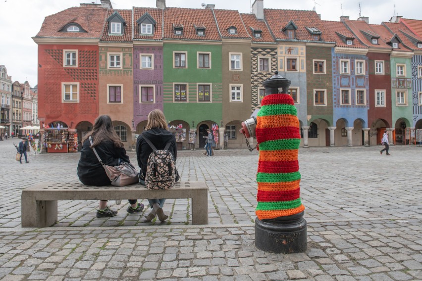 Kolorowe hydranty można zobaczyć w centrum Poznania,  na...