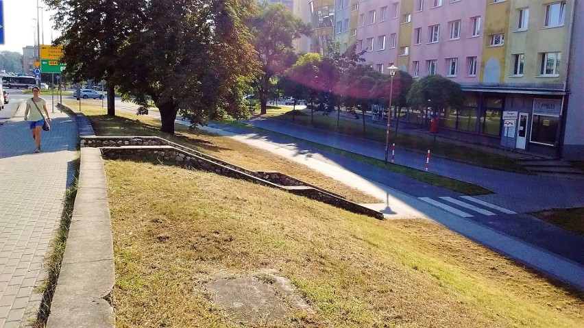 Na zjeździe z mostu na ul. Nysy Łużyckiej rosła bujna...