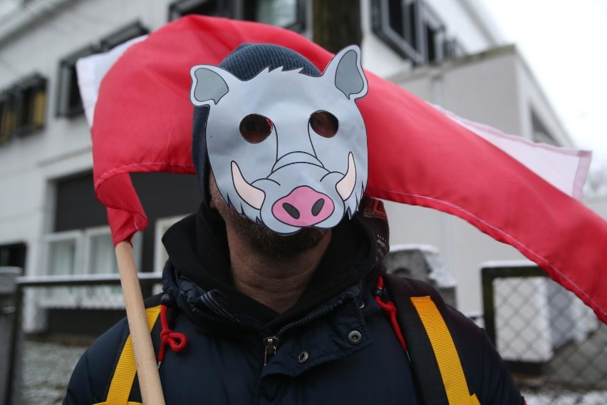 Protest przeciwko polowaniom na dziki