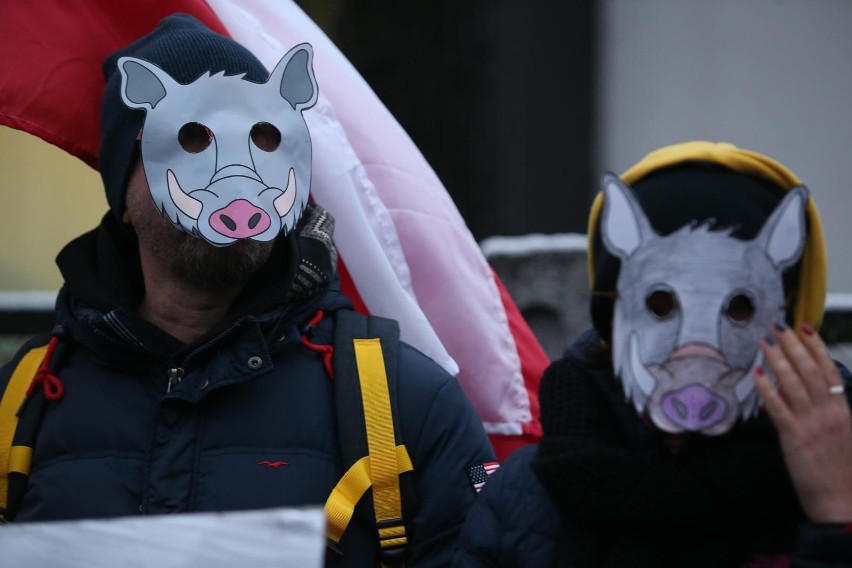 Protest przeciwko polowaniom na dziki