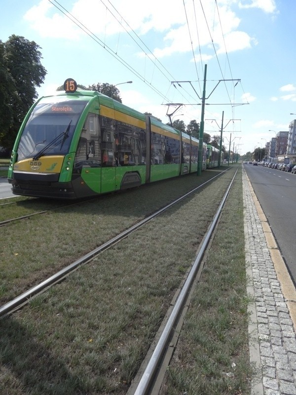 Potężny korek tramwajowy na Grunwaldzkiej. Bo "szóstka" miała awarię... [ZOBACZ ZDJĘCIA]