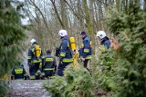 Ciało zaginionego 21-latka znaleziono w lesie w gminie Łasin. Poszukiwało go kilkudziesięciu strażaków i policjantów 