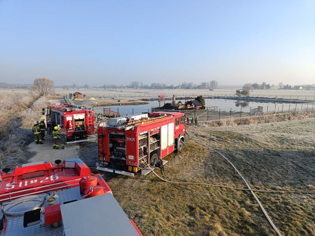 Z pożarem w miejscowości Dąbie pod Włoszczową walczyły cztery jednostki straży pożarnej.