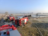 Poranna akcja włoszczowskich strażaków. Cztery zastępy straży gasiły domek letniskowy