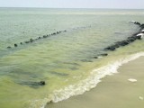 Sensacyjne odkrycie na plaży w Międzywodziu [foto]