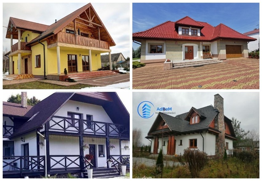 TOP 10 najdroższych domów w okolicy Puszczy Białowieskiej. Chcielibyście zamieszkać przy królestwie żubrów?