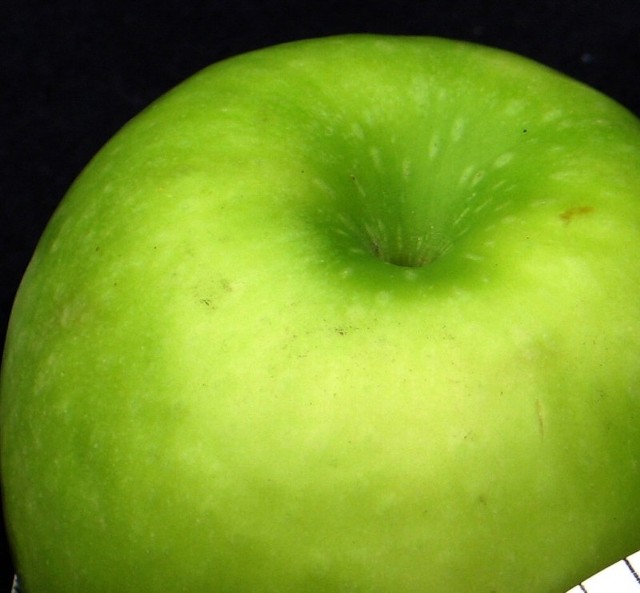Jabłka - jedne z najchętniej kupowanych polskich owoców. Fot. Stock