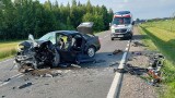 Dramatyczny wypadek w miejscowości Pcin na drodze krajowej numer 79. Nie żyje 58-letni mężczyzna