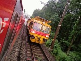 Niecodzienna sytuacja na torach. Bóbr zatrzymał pociąg relacji Wrocław – Zielona Góra na cztery godziny