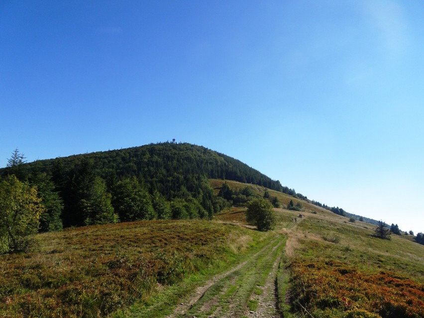 Odkryj Beskid Wyspowy. 25 sierpnia ścieżką Strzelców Podhalańskich