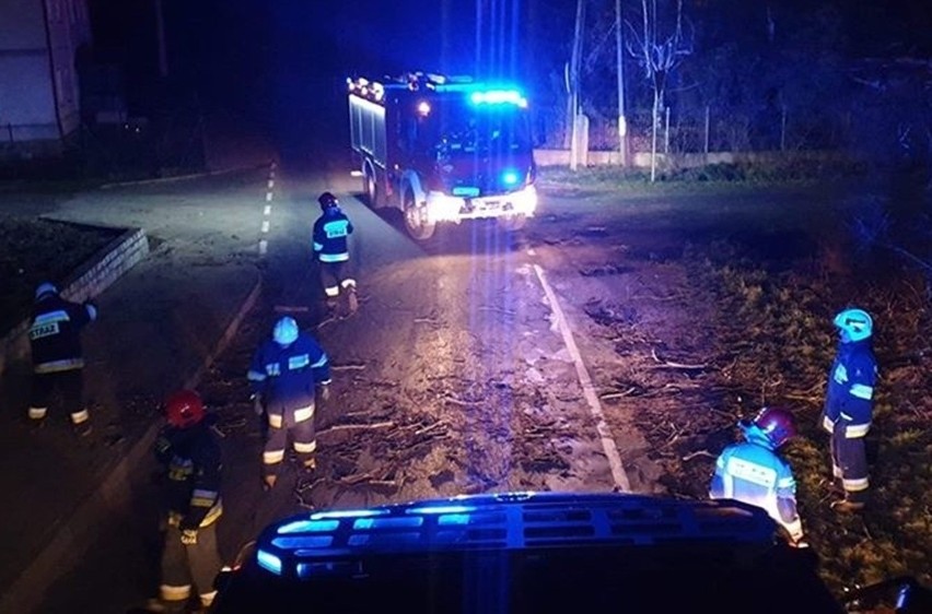 Orkan Ciara ma niszczycielską siłę. W Polsce już wyrządził...