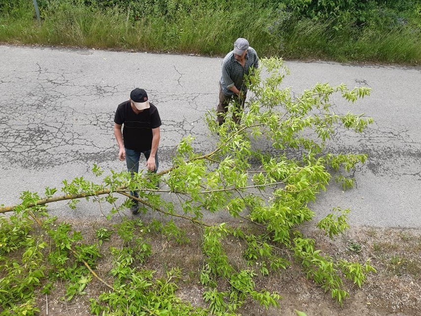 Przewodniczący Rady Powiatu Mariusz Pasternak wycinał gałęzie przy drodze. Zobaczcie zdjęcia