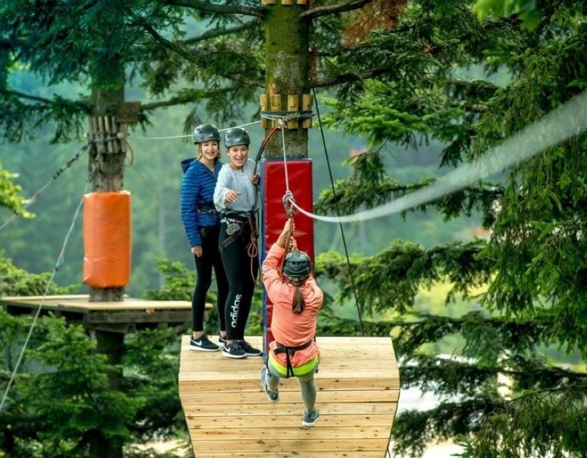 Przeglądaj kolejne strony. Tam znajdziesz firmy realizujące...