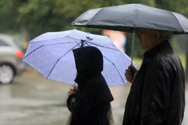 Wiosna zawitała do Torunia. Chwilowo pojawi się jednak chłód oraz opady deszczu.