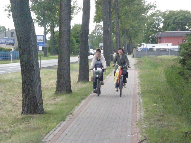 Ścieżka rowerowa z Gniewkowa w kierunku Suchatówki.