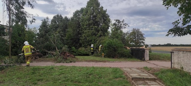 Strażacy z Kowalkowa i Zwolenia usuwali powalone drzewa na terenie powiatu zwoleńskiego. Więcej ze zniszczeń nocy z niedzieli na poniedziałek na kolejnych slajdach