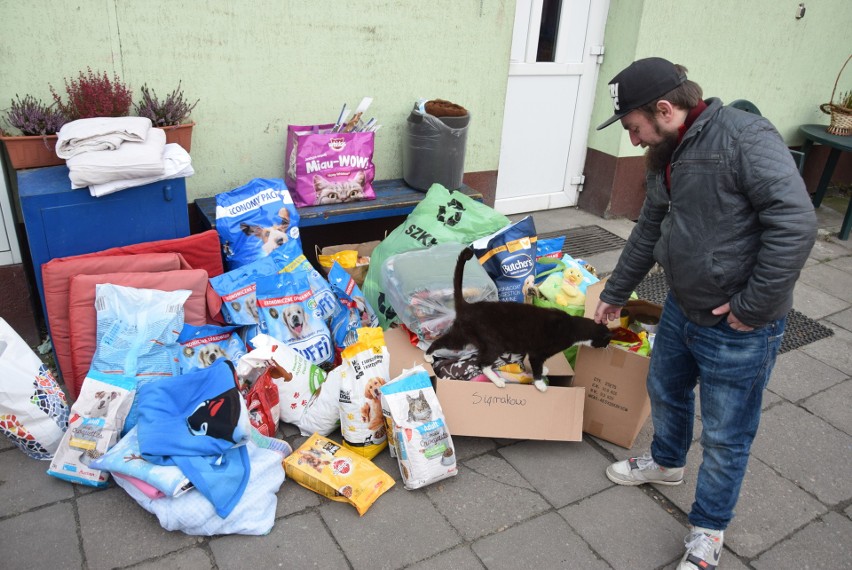 Mieszkańcy gminy Kobylnica swoimi darami wsparli potrzebujące pomocy zwierzęta