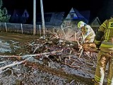 Silny wiatr łamie drzewa na Podhalu. Strażacy z Bukowiny Tatrzańskiej byli wzywani na pomoc 