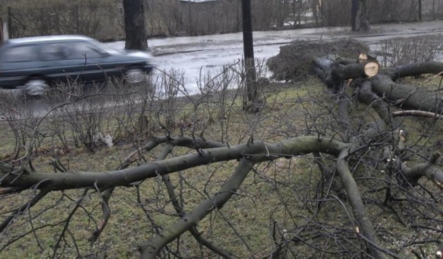 Orkan Marcin nadciąga. Synoptycy zapowiadają w weekend w całym kraju spore ochłodzenie, wichury oraz ulewny deszcz
