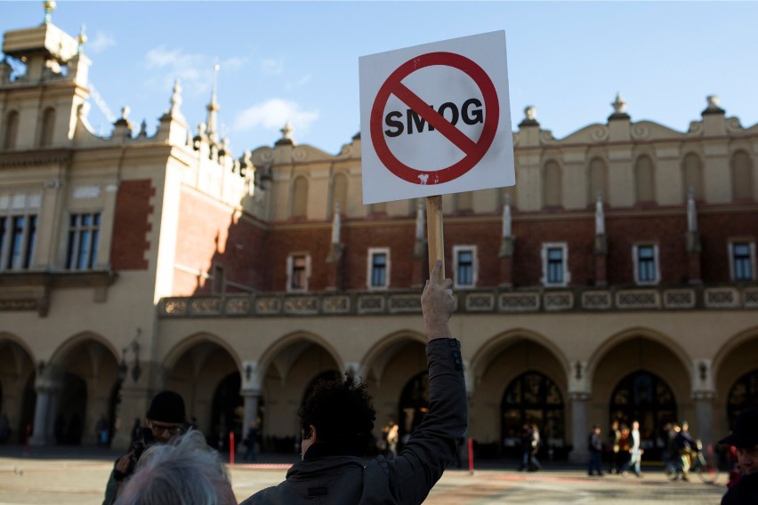 14 listopada Dzień Czystego Powietrza. Czy skutecznie walczymy ze smogiem?