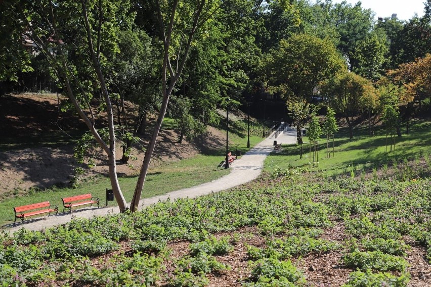 Zdecyduj, jak ma się nazywać nowy park miejski w Brzegu [GŁOSOWANIE]