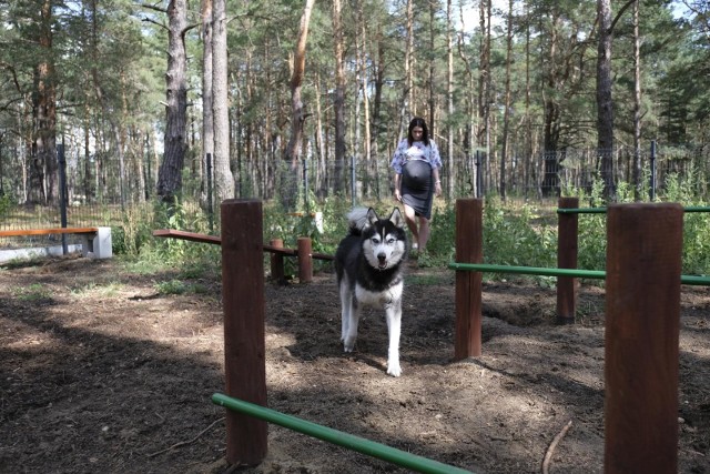 [*]Opiekunowie psów muszą się liczyć z ograniczeniami nie tylko na terenie miasta. Dobrym miejscem na wybieganie się zwierzaka są  specjalne wybiegi, np. w miejskich parkach, ale nie las. Art. 30 ust. 1 pkt 13 ustawy o lasach jednoznacznie stanowi, że „w lasach zabrania się puszczania psów luzem”, natomiast art. 166 Kodeksu wykroczeń przewiduje kary za niestosowanie się do tej regulacji: „Kto w lesie puszcza luzem psa, poza czynnościami związanymi z polowaniem, podlega karze grzywny albo karze nagany.”