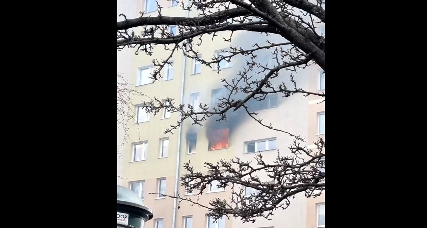 Wybuch w mieszkaniu w Gdyni! Pożar w bloku mieszkalnym. Na miejscu 7 zastępów straży pożarnej