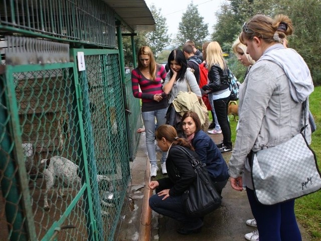 Wczoraj słupskie schronisko odwiedziła już młodzież z Liceum Profilowanego ze Słupska.