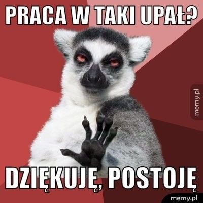 Upał w Polsce dokucza wszystkim. Internauci wzięli sprawy w...