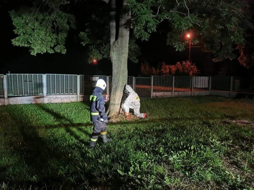 Strażacy Roku 2021. Ochotnicza Straż Pożarna Zajezierze zdobyła tytuł Jednostki OSP Roku 2021 w powiecie kozienickim