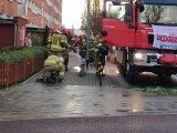 Gdańsk: pożar na ulicy Kołobrzeskiej (18.11.2022). Na miejscu cztery jednostki straży pożarnej [ZDJĘCIA]