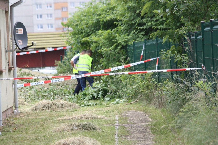 Osiedle socjalne przy ul. Wolskiej w Będzinie. Tu znaleziono...