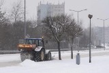 W Jastrzębiu zima nie zaskoczy drogowców? Akcja Zima ruszy 1 grudnia. "Zabezpieczono 865 ton soli, 320 ton piasku i 18 m szesc. solanki"