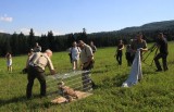 Sęp płowy już na wolności. Został wypuszczony na terenie leśnictwa Tarnawa w Nadleśnictwie Stuposiany 
