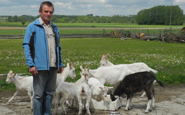 Wanda i Ryszard (na zdjęciu) Hrycowie z Jeniek  prowadzą gospodarstwo ekologiczne o powierzchni 10 ha. Uważają, że ekologia stanowi  szansę dla niewielkich gospodarstw, takich jak ich