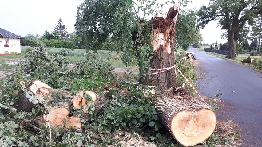 Powiat chełmiński ucierpiał w wyniku przechodzących burz.