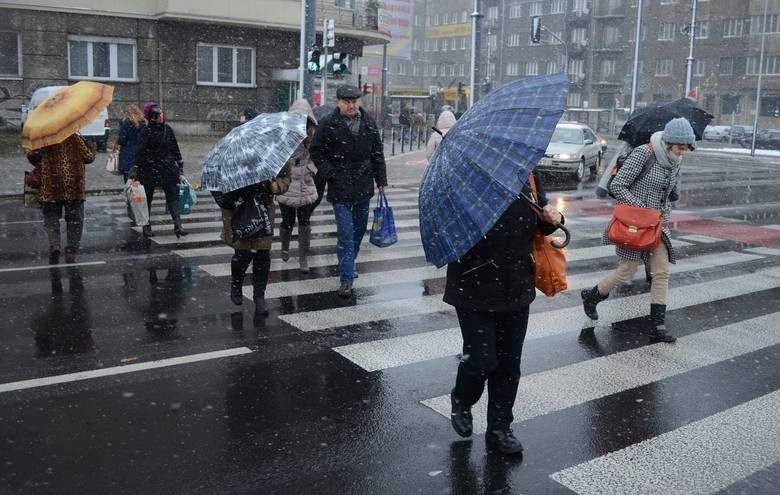 Pierwsze opady śniegu nie zapowiadają się w Łodzi obficie....