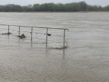 Wysoki poziom wody Wisły w Sandomierzu. Woda zalała dolny deptak z ławeczkami. Zobaczcie zdjęcia