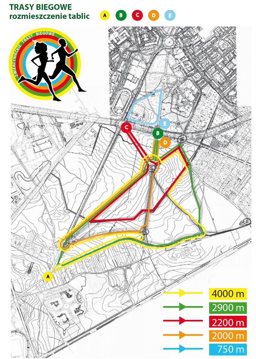 Las Zwierzyniecki. Ścieżki biegowe w Zwierzyńcu [MAPA]