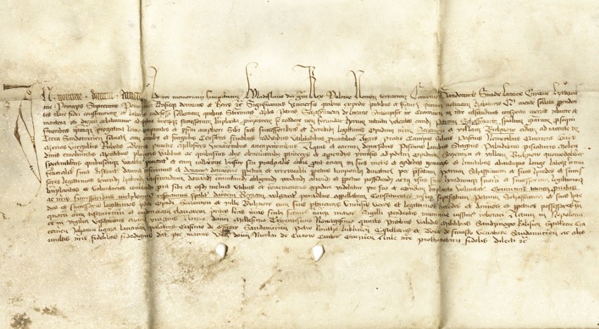 Akt nadania miasta Secemina Piotrowi Szafrańcowi z 1395 roku...