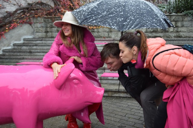 W Rybniku - przy okazji RYJKA - stanęła różowa świnka