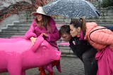 Ryjek 2022 trwa, a o tym, że Rybnik to miasto kabaretów, ma przypominać różowa świnka stojąca przy Teatrze 