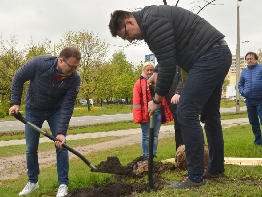 Radom. Na Ustroniu sadzili drzewa w hołdzie zmarłemu społecznikowi z osiedla 