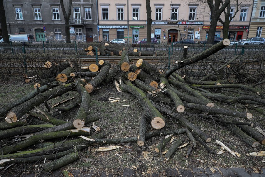 Wichura w Krakowie. Uszkodzone domy i powalone drzewa [ZDJĘCIA]                       