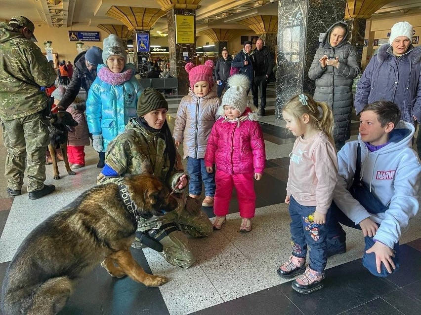 Zobacz wzruszające zdjęcia. Policyjne psy bawią się z dziećmi na kijowskim dworcu, by odwrócić ich uwagę od wojny